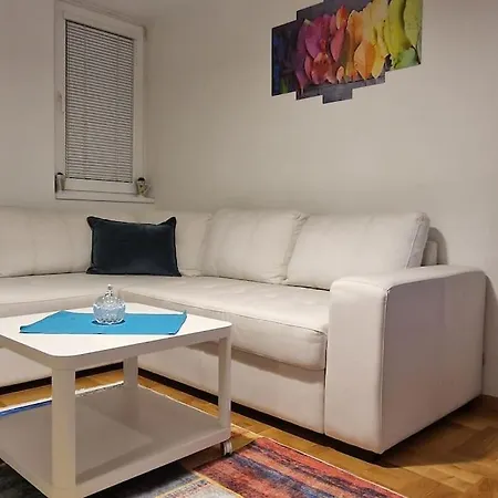 Modern & Stylish *